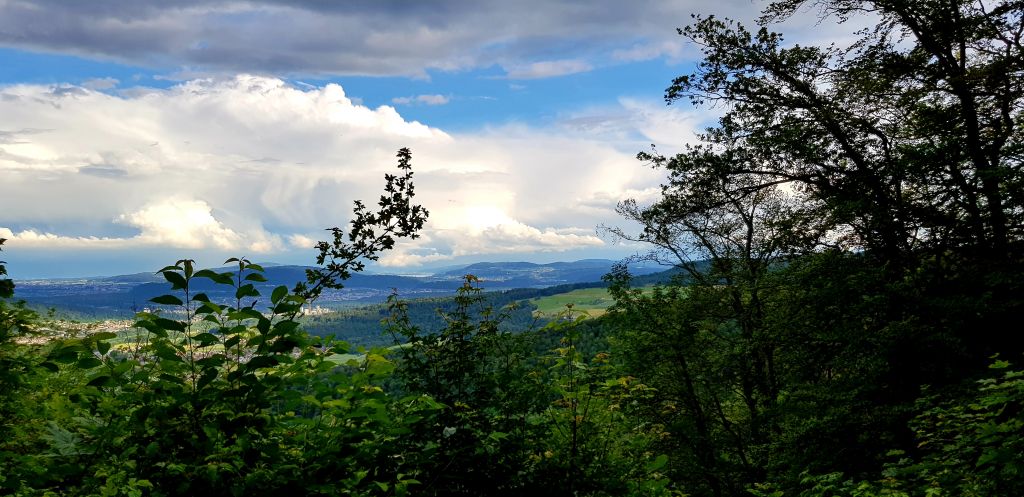 Das Panorama