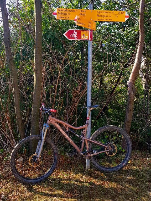 Biketour Collina d'Oro