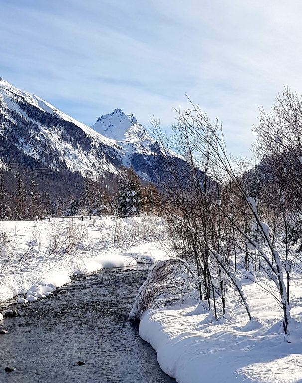 Winterwonderland.