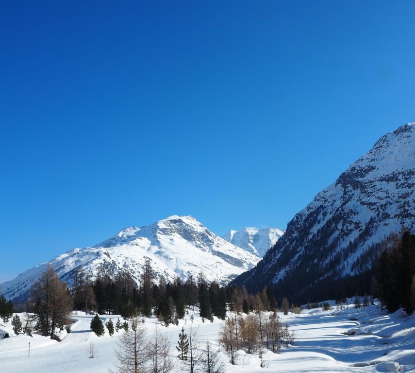 Kleine Wanderung zwischen Pontresina und Morteratsch.