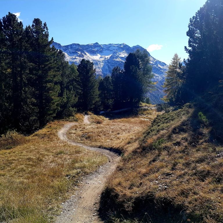 Blaue Stunde am Palü
