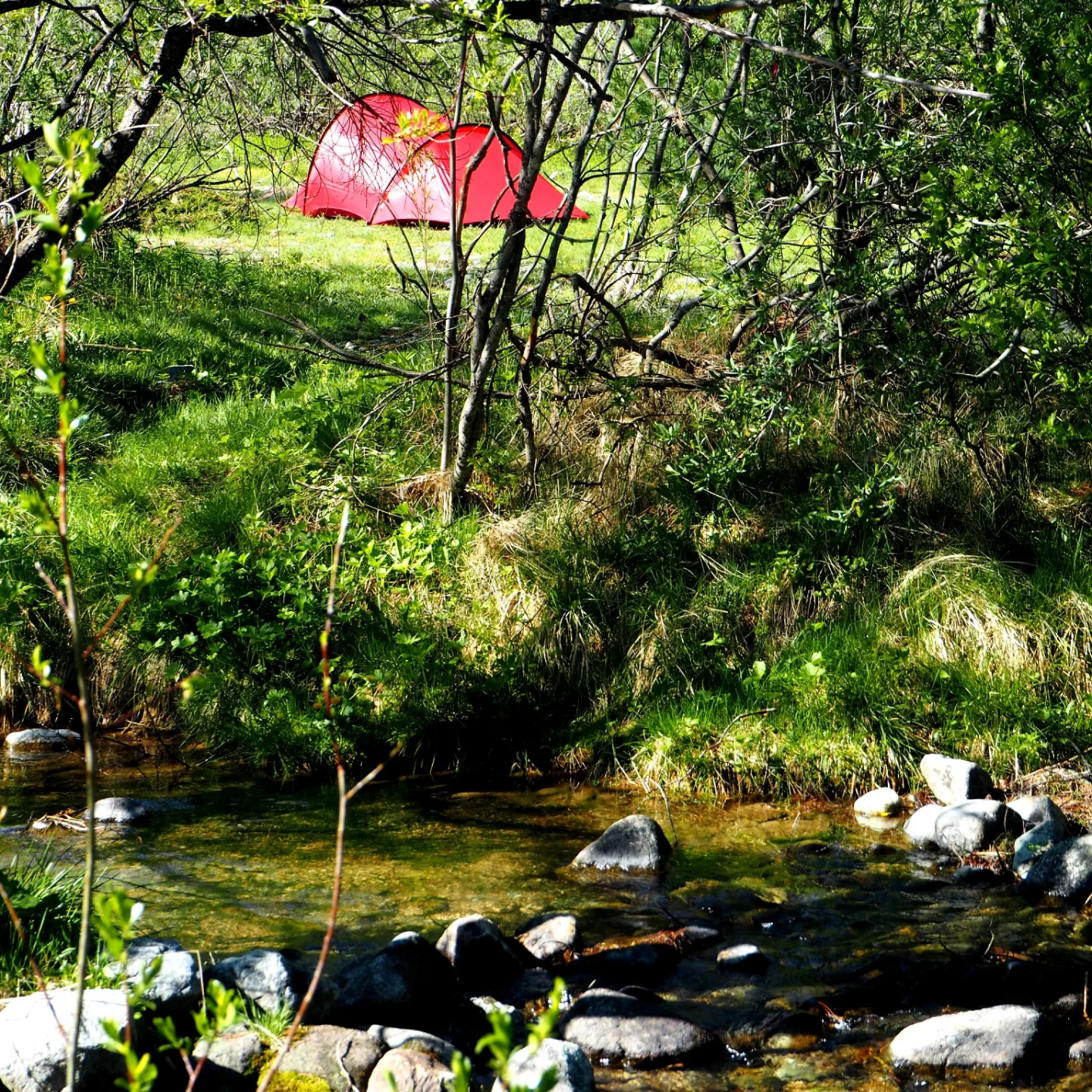 Camping Morteratsch