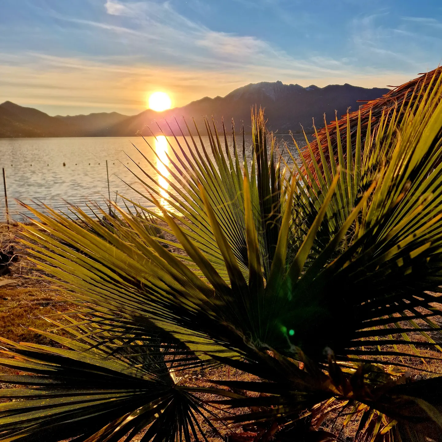 Camping Miralago, Tenero.