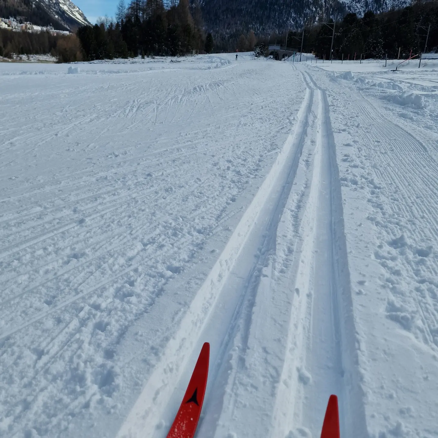 Langlaufen in Pontresina
