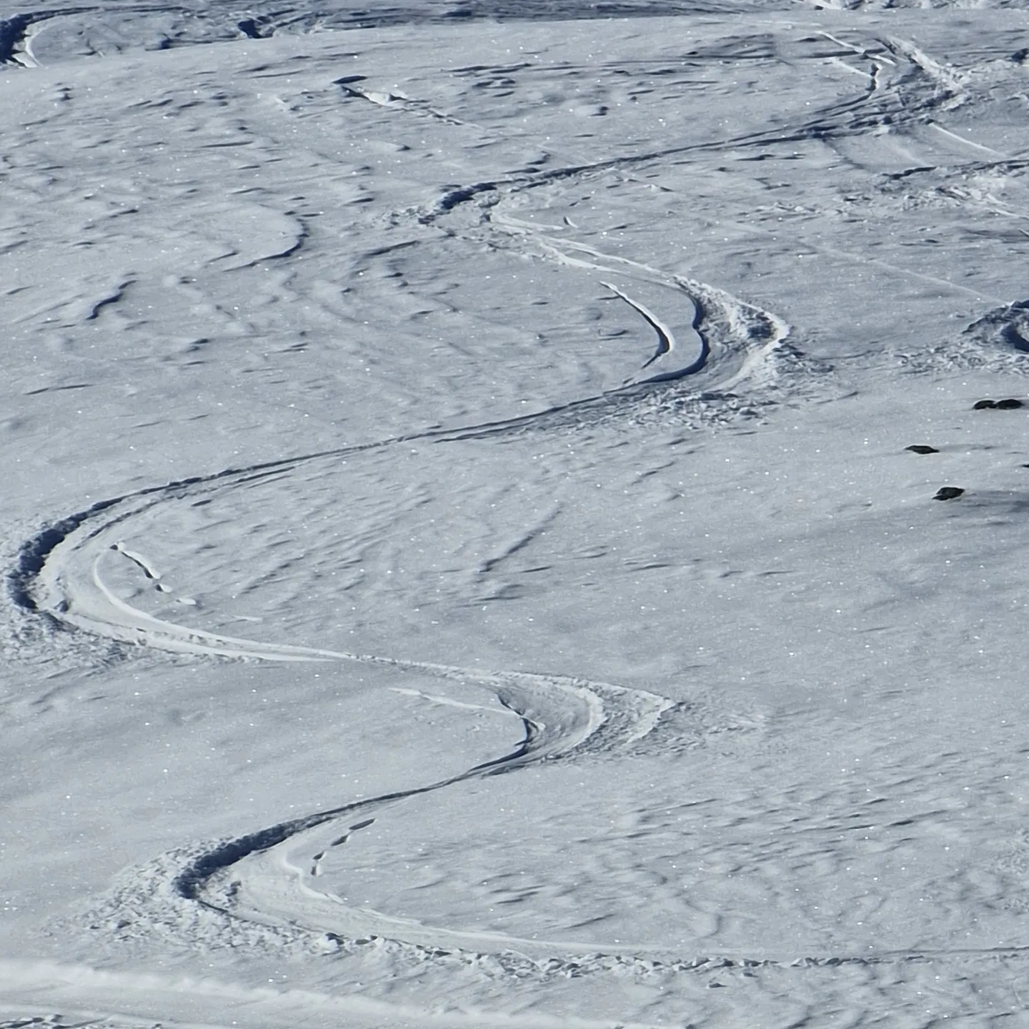 Die ersten Turns  diesen Winter