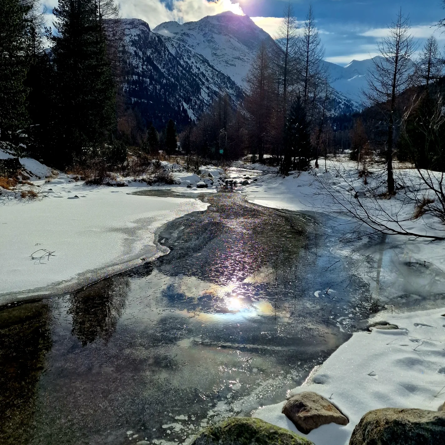 Camping Morteratsch.