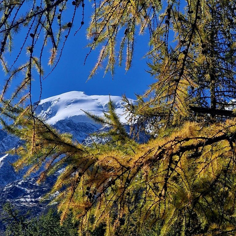 Piz Morteratsch.