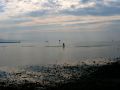 img 4340 8 20110215 1611443105
