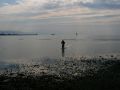 img 4345 9 20110215 1161803950