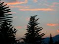 img 4357 4 20110222 1028326744