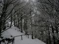 img 4365 11 20110222 1435636931