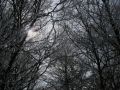 img 4372 6 20110222 1651045758