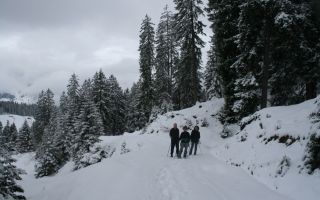 amden, the snow is back