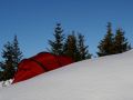 img 4458 11 20110307 1045282412
