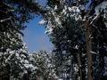 img 4584 11 20110321 1516306521