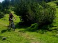 dqwnhill 3 20100904 1945959648