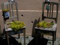 einfach prima 20110704 1528170345