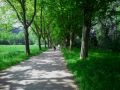 velofahre ond gnuesse 20110606 1252974145