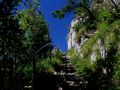 wiedermal jura neue sachen entdeckt 20110802 1952324208