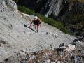 aktive erholung 20110930 1996263861