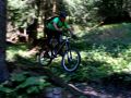 bombastisch 20110906 1586406642