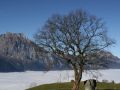 haldi diesmal bei traummwetter 20111111 1316879113