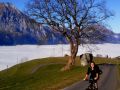 haldi diesmal bei traummwetter 20111111 1620125537
