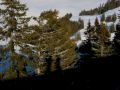rigi schneeschuhtour und schlitteln 20120113 1256243438