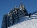 rigi schneeschuhtour und schlitteln 20120113 1643746453
