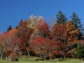 schon wieder wildsspitz 20111102 1417447598