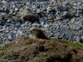 herbstferien 12 20121008 1366054106