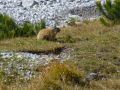 herbstferien 12 20121008 1762358816