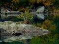 herbstferien 12 20121008 1796650627