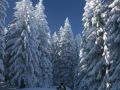 winterwonderland 20120206 1227750138
