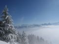 winterwonderland 20120206 1776496443