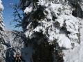 winterwonderland 20120206 1810755584