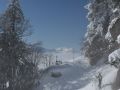 winterwonderland 20120206 2097582248