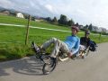 einmal etwas anderes 20121011 1055108132
