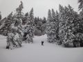 tueuefschnee 20120217 1956153667
