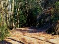 25 grad an der sonne 20121230 1857213672
