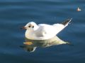 25 grad an der sonne 20121230 1905756654