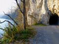 nebelflucht 20121117 1177209860
