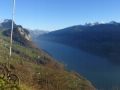 nebelflucht 20121117 1825380773
