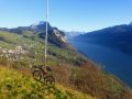nebelflucht 20121117 1984366208