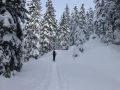 skicampadventure 20130218 1364020923