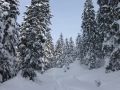 skicampadventure 20130218 1899422494