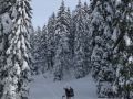 skicampadventure 20130218 1900326823