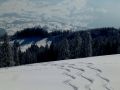 traumhaft 20130118 1664380965