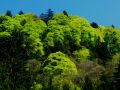 aufraeumen alp draekloch 20130516 1355454741