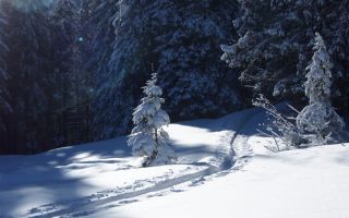 Birthday-Skitour Gulmen